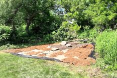 Pollinator Garden 2